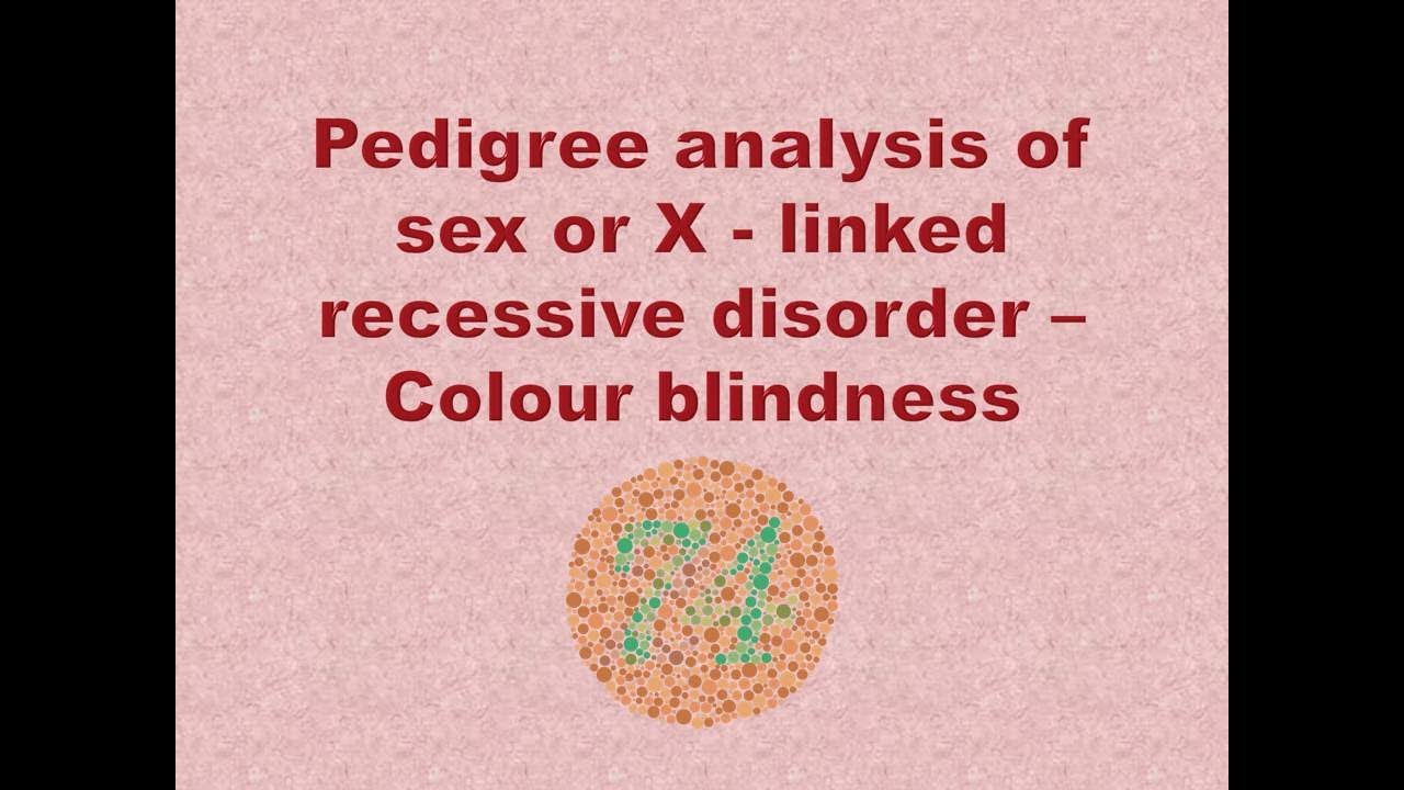 Pedigree chart l Inheritance of X-Linked recessive trait - Colour blindness - Tamil