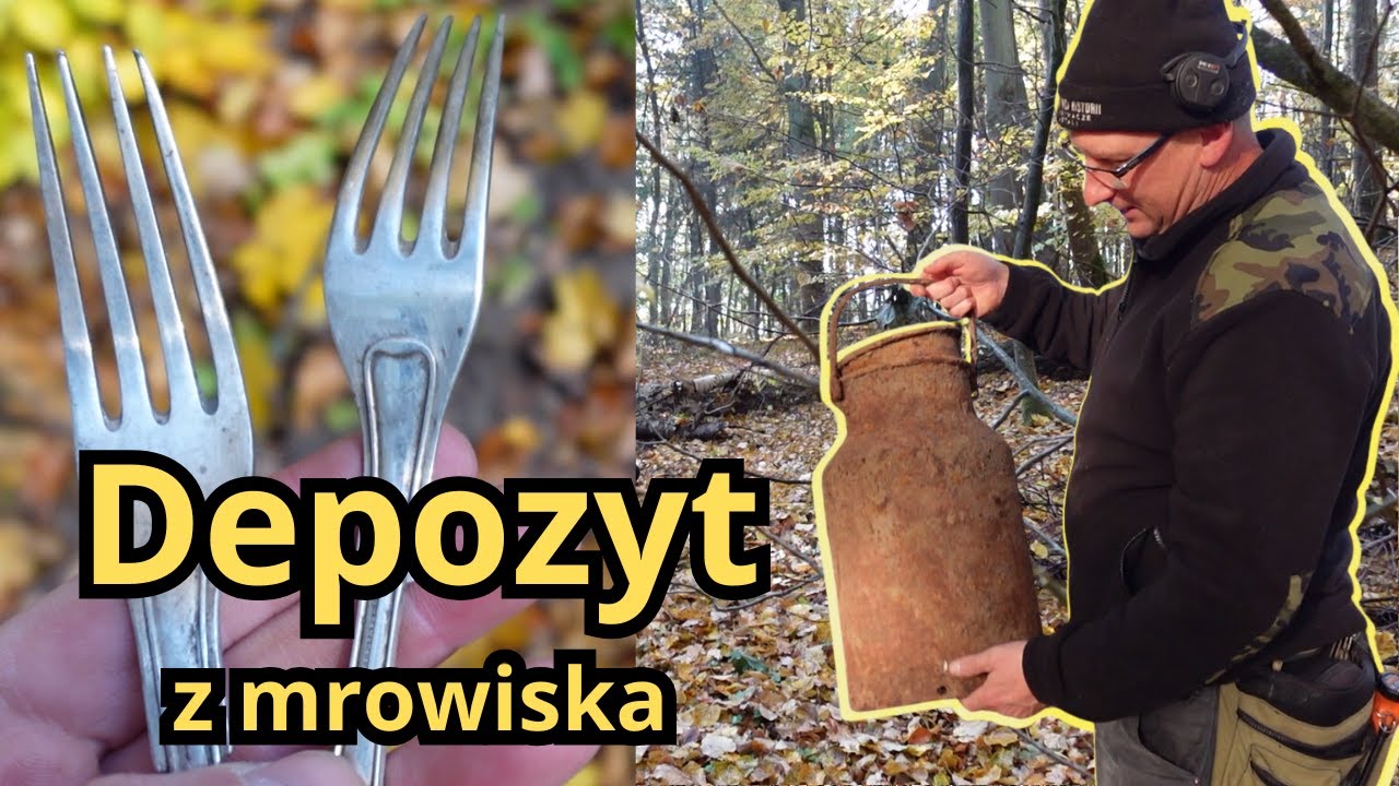 Złoto i srebro wrzucili do mrowiska. Poszukiwania kolejnego depozytu rodu Finckenstein.