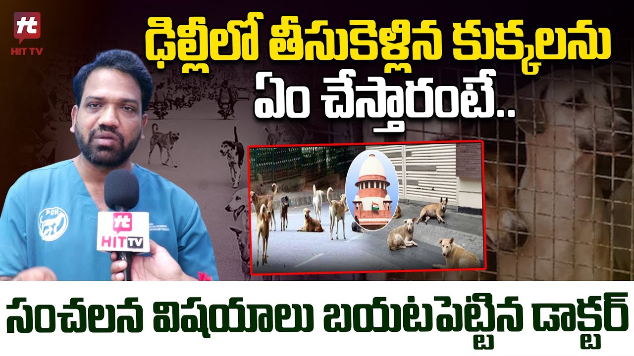 ఢిల్లీ లో తీసుకెళ్లిన కుక్కలను ఏం చేస్తారంటే..| Dr. Kanakati Venkata Yadav About Delhi Dogs Issue
