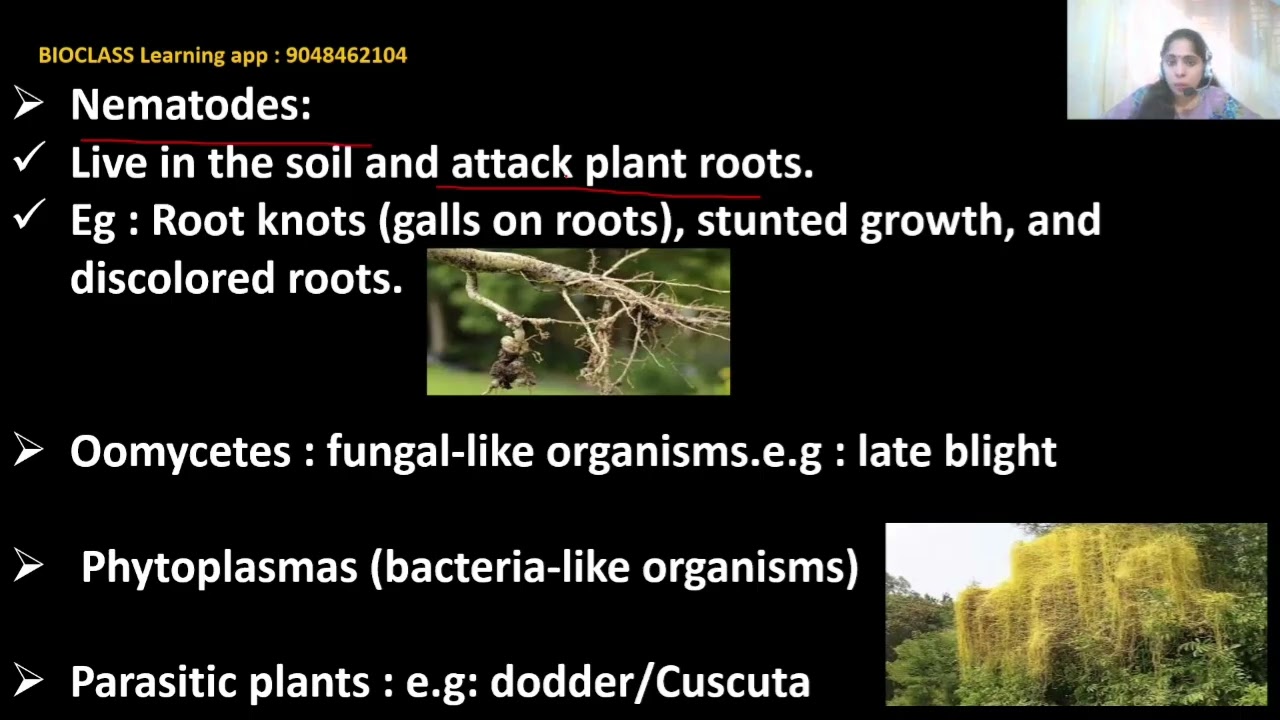 PRINCIPLES OF PHYTOPATHOLOGY
