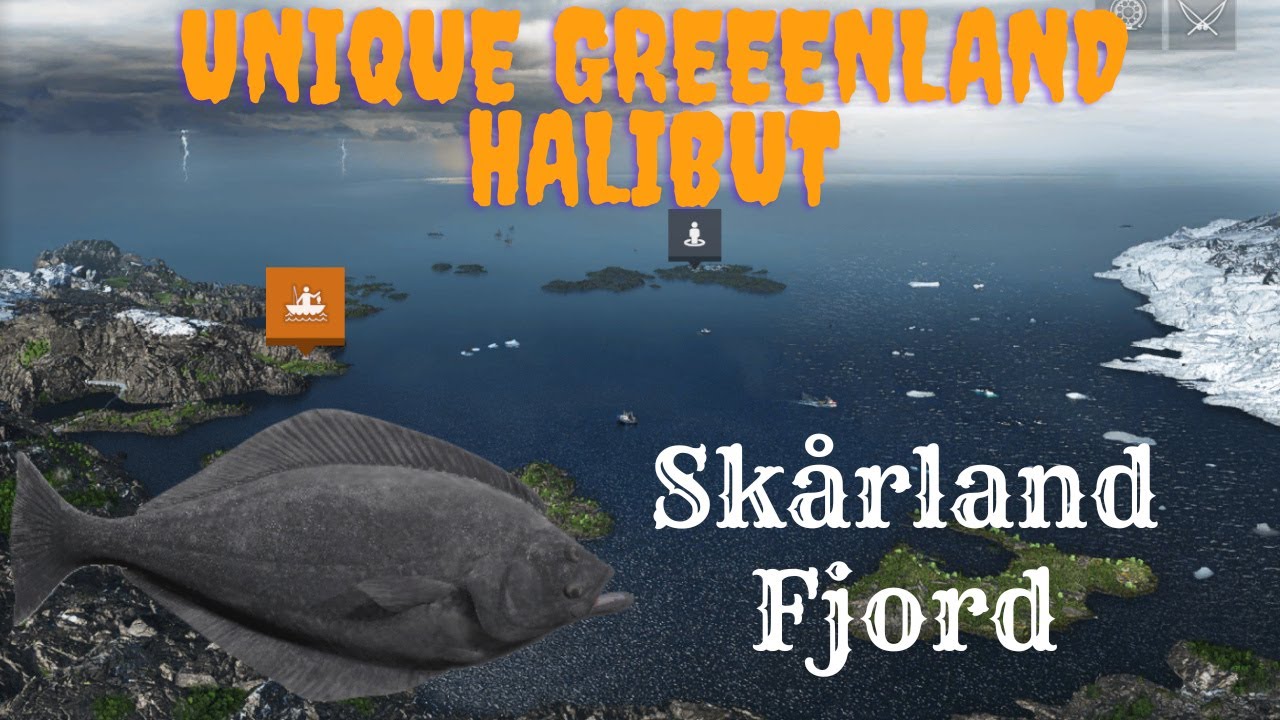 Unique Greenland Halibut | Skårland Fjord | Fishing Planet