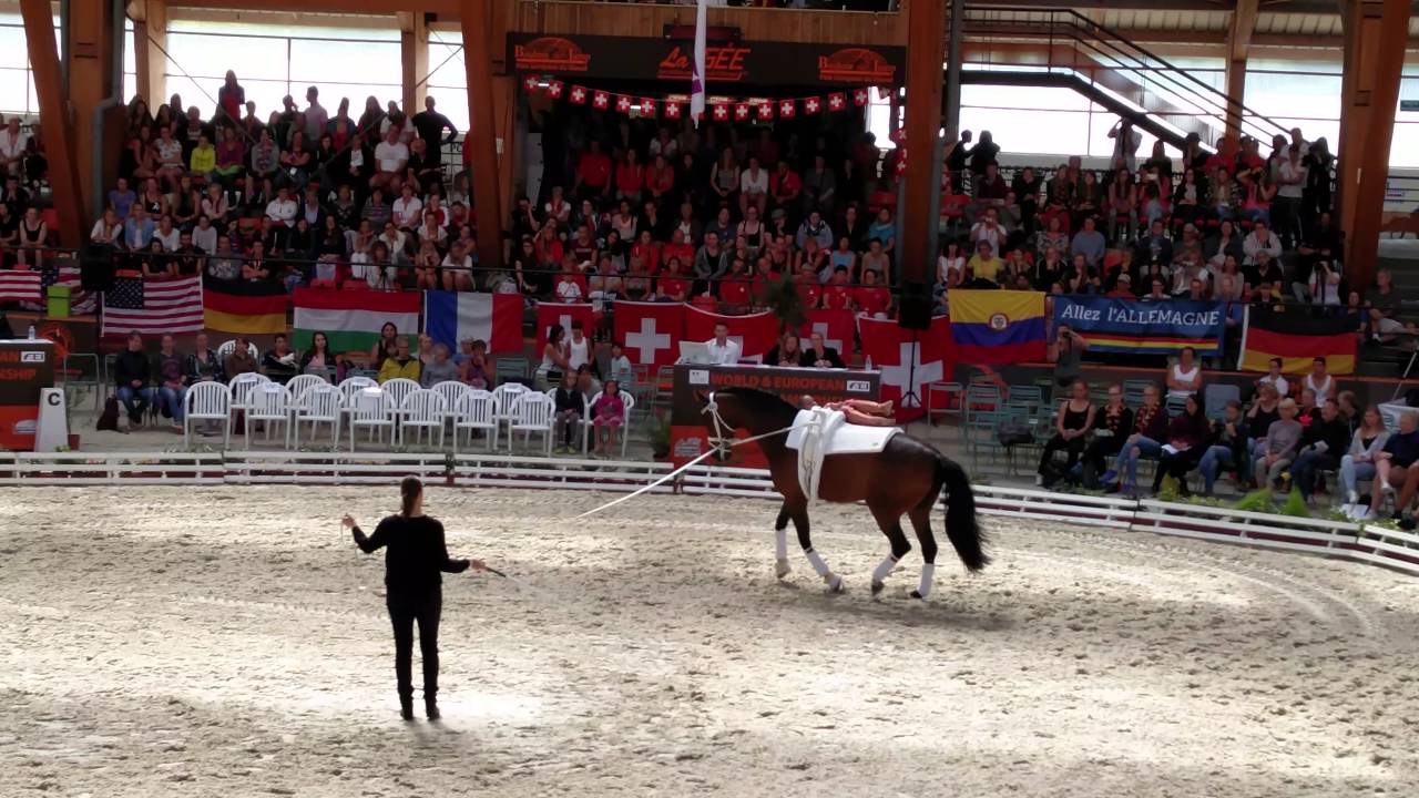 FEI World Vaulting Championships Le Mans 2016 - Senior Female Final Freestyle - Kristina Boe