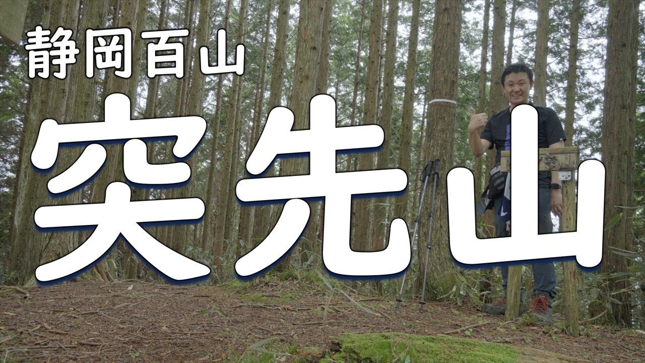 静岡百山５４【 突先山 】カモシカちゃんにバッタリ！見つめ合ってきました！【ソロ登山】静岡県
