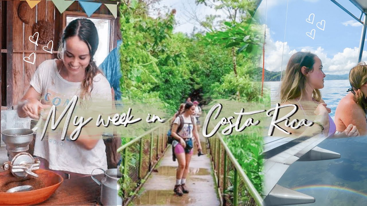 my week in costa rica | exploring beaches & waterfalls, drinking coffee, and observing wildlife!