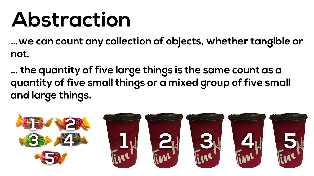 Abstraction - Counting and Quantity Principles