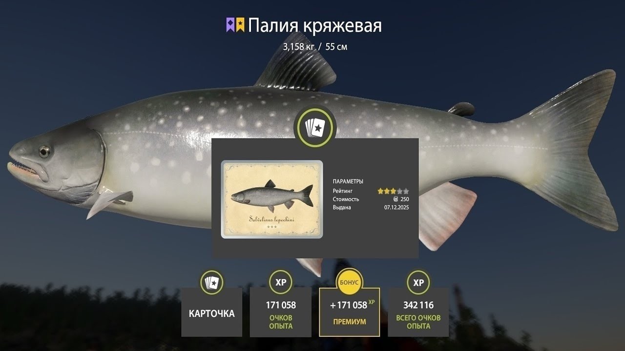 📢СТРИМ РР4🔥ВЕЧЕРНИЕ РЫБОВЫ НАС ЖДУТ🔥РУССКАЯ РЫБАЛКА 4