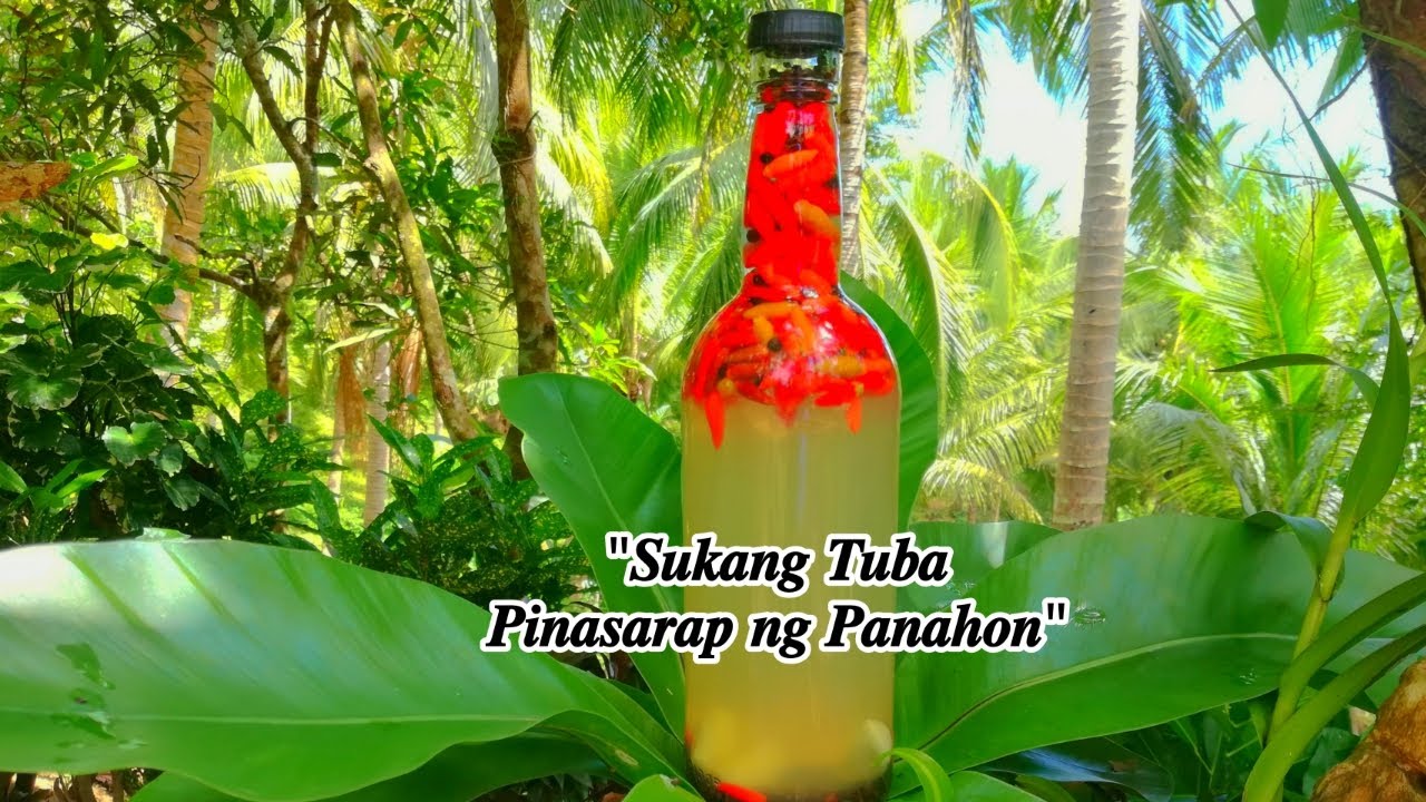 Sukang Tuba Paano Gumawa | Simpleng Buhay sa Probinsya | Buhay Bukid