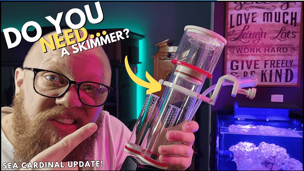 What is a protein skimmer for a saltwater aquarium - Sea Cardinal Update