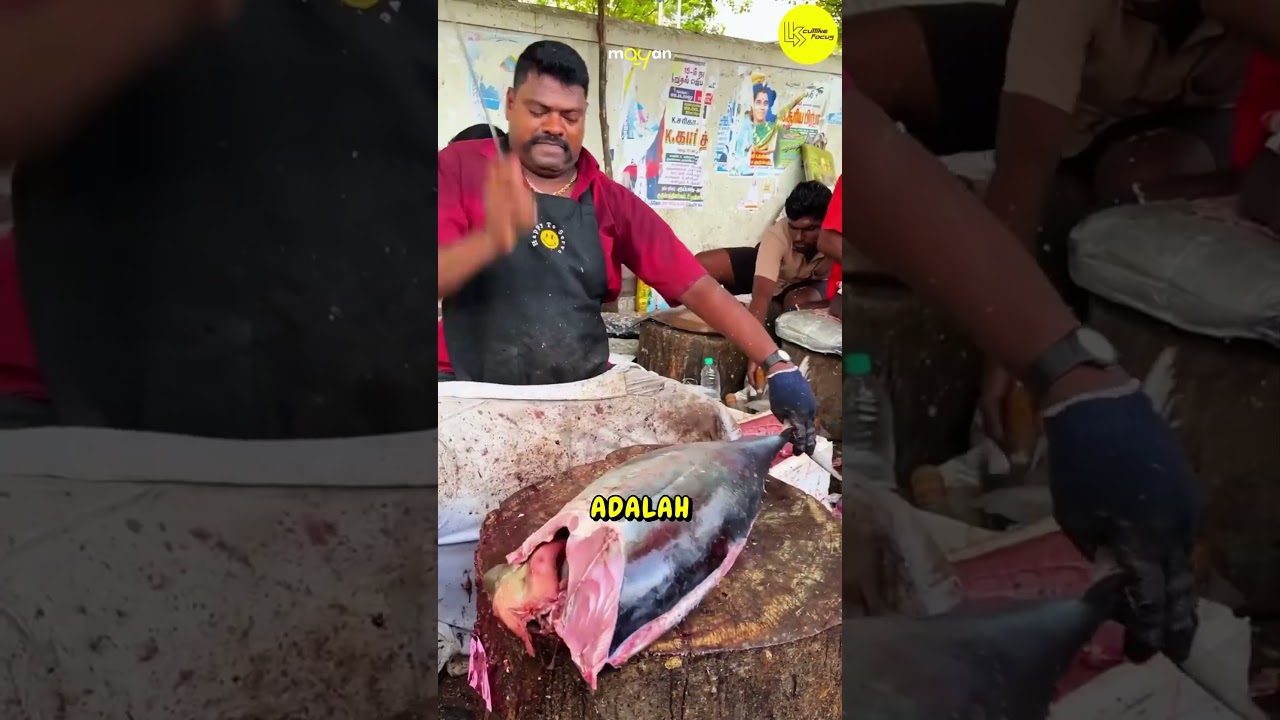 Proses Pengolahan Ikan Tuna Sirip Kuning #food #fish #fishing