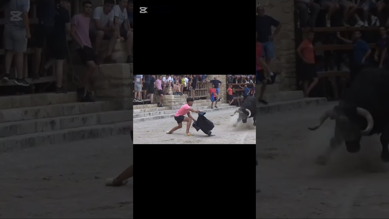 TORO CERRIL DE FRANCISCO GALACHE EN CANTAVIEJA #fiestabrava #toros #festejopopular