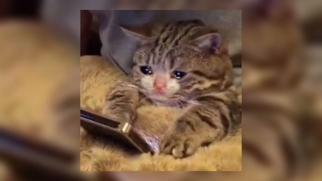 Sad tik tok speed up audios 😿 | #2