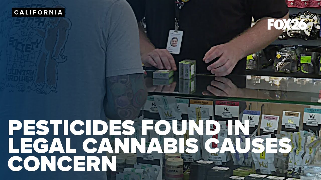 High pesticide levels spark safety concerns in California cannabis products