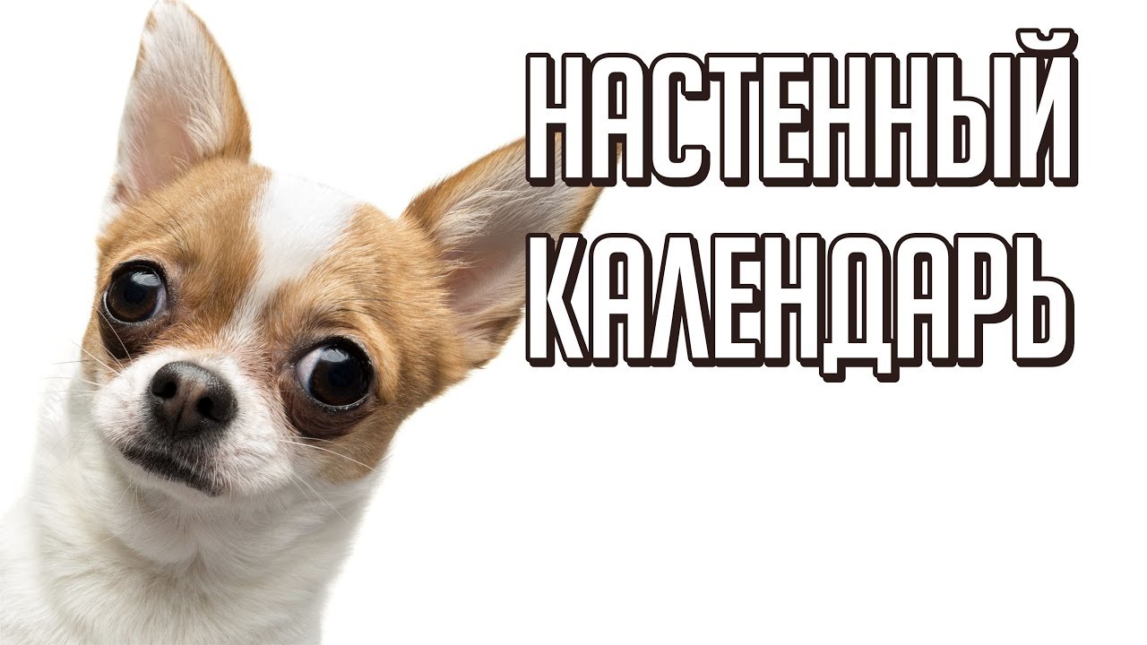 НАСТЕННЫЙ КАЛЕНДАРЬ В ПРОГРАММЕ КОРЕЛ ДРО. ГЕНЕРИРУЕМ КАЛЕНДАРНУЮ СЕТКУ НА ЛЮБОЙ ГОД. ЭТО КРУТО!