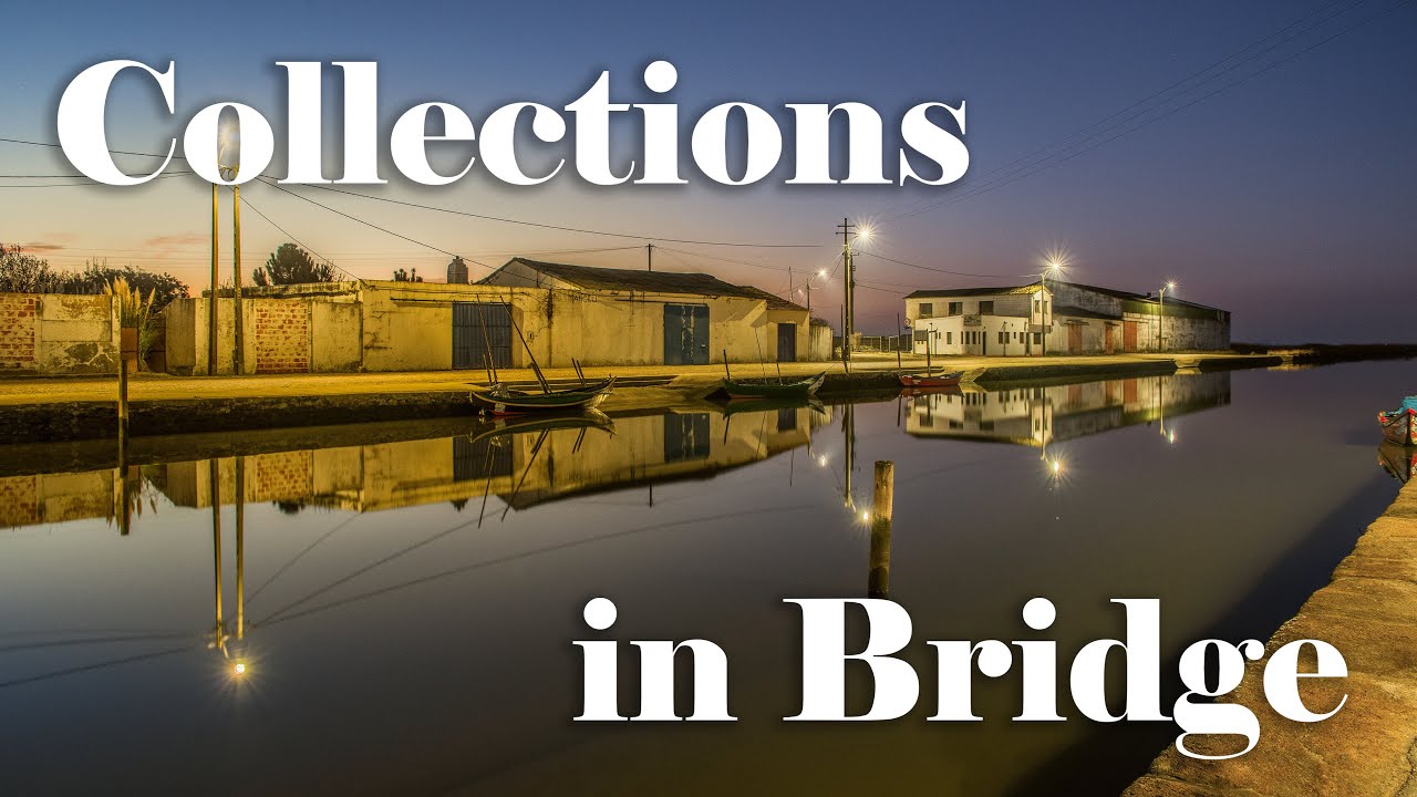 Collections in Adobe Bridge