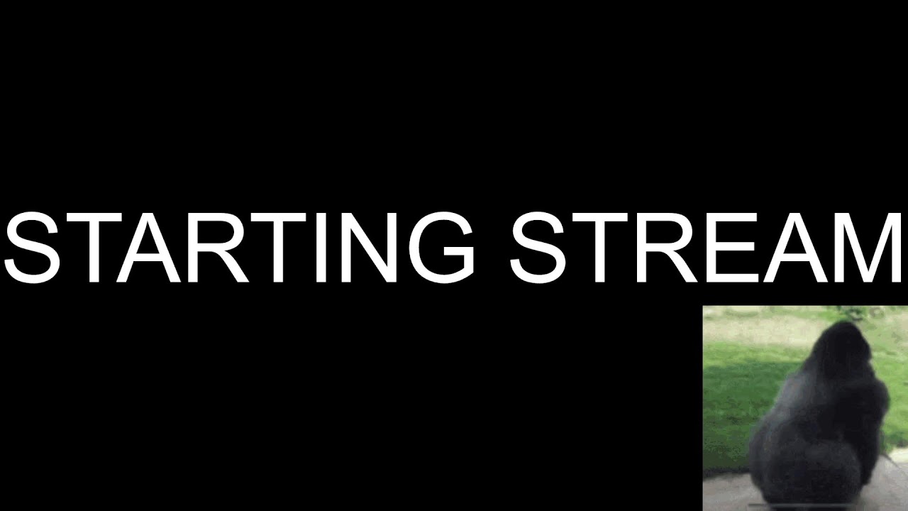 GWAMGO SMP THEN BREAK THEN FRIENDS TILL THE END