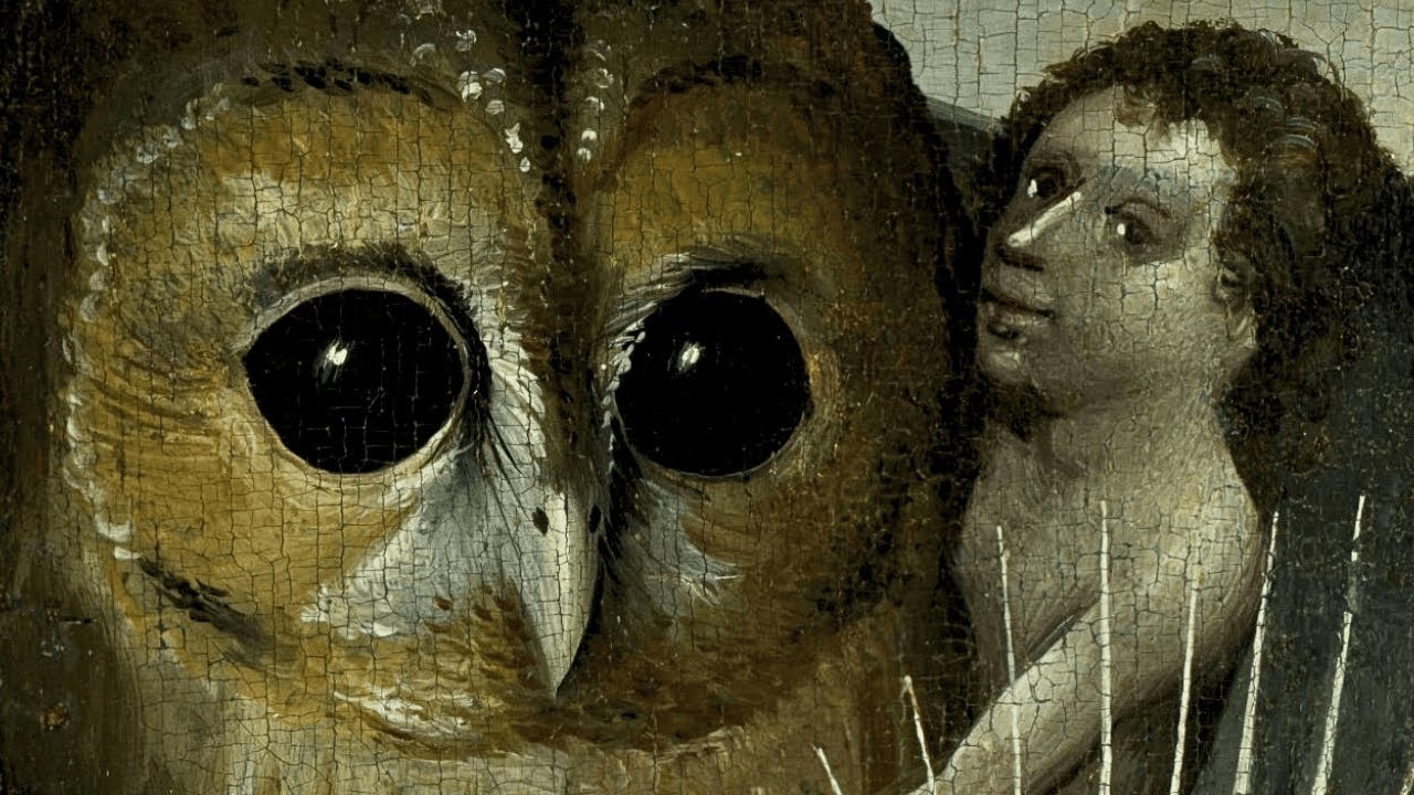 Hieronymus Bosch&rsquo;s Disturbing Owls