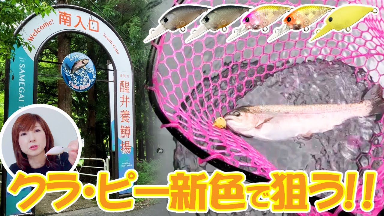 【醒ヶ井養鱒】クラ・ピー新色パールで魅せて食わせるカラー登場【まっきぃ】