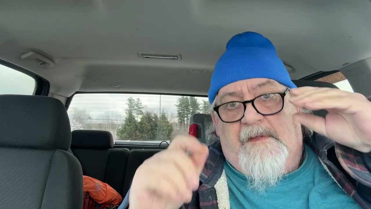 Снежная буря!!! Холодный ветер! Чайки налетели!! Это что, «птицы»?? Опять! 🐥🕊️