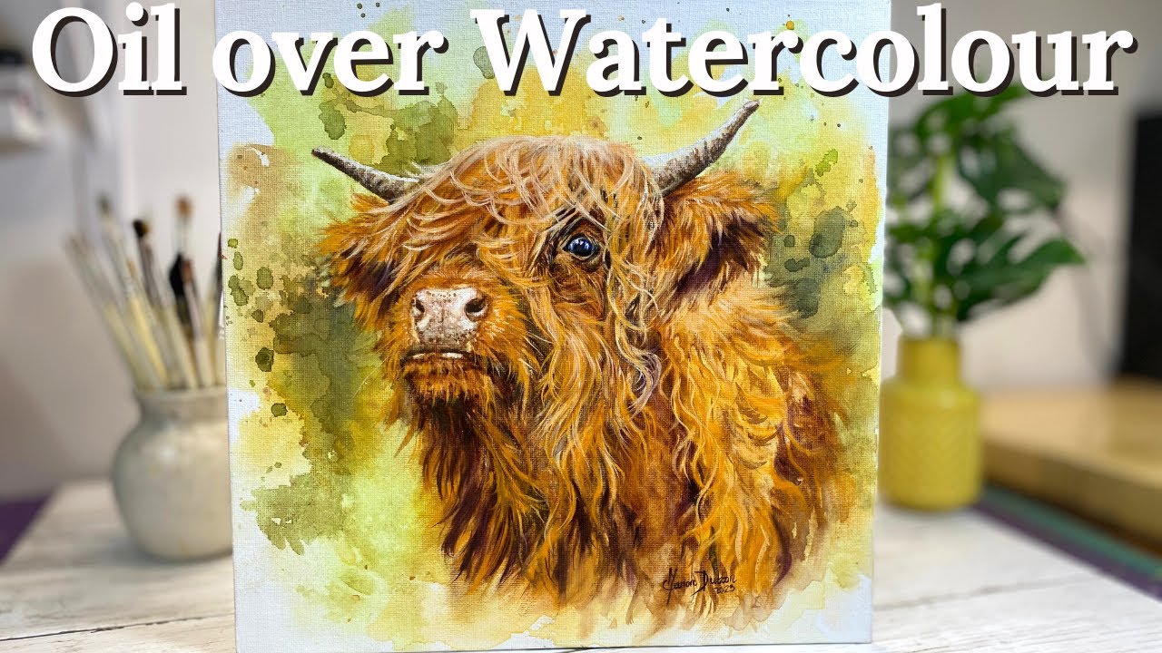 How to Paint a Highland Cow using oil over watercolour