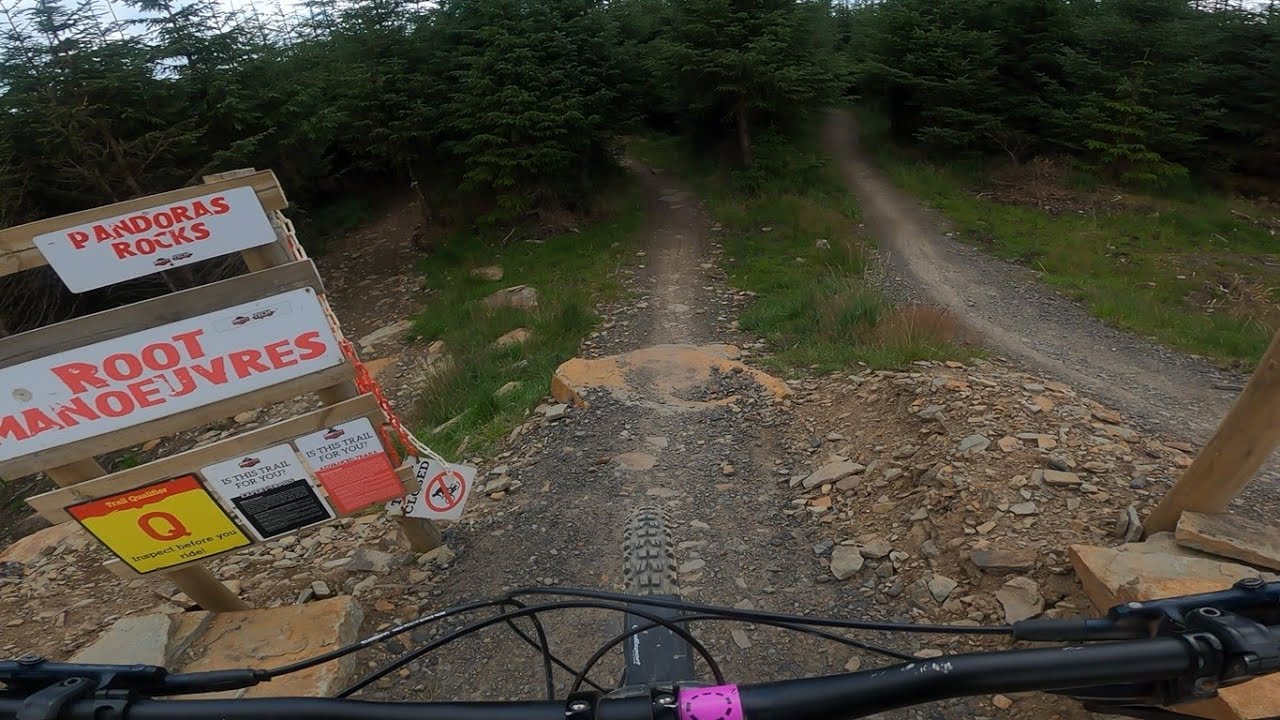 Bike Park Wales - Root Manoeuvres - Raw