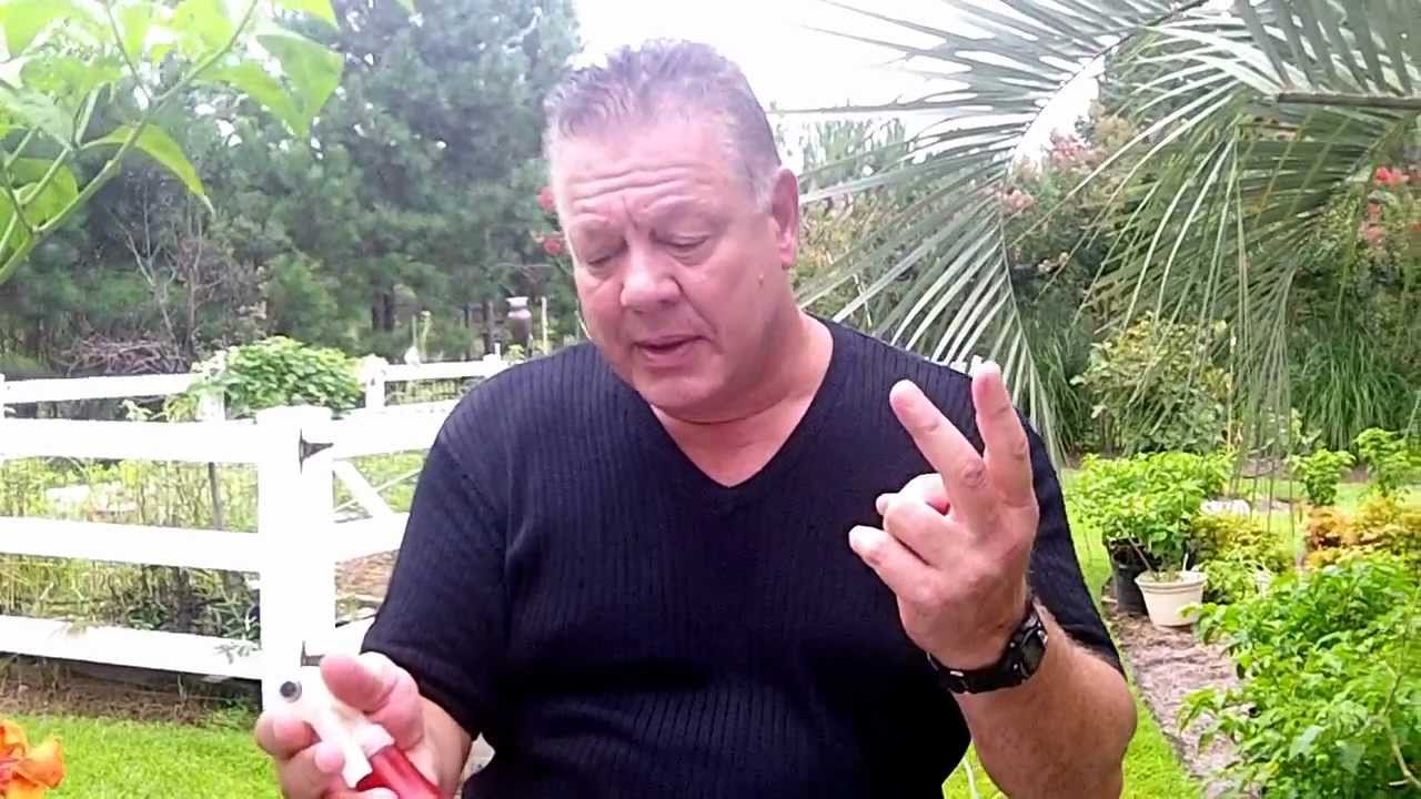 Growing Hot Peppers in Hot weather areas. Some simple steps to make it work in the heat.  .MP4