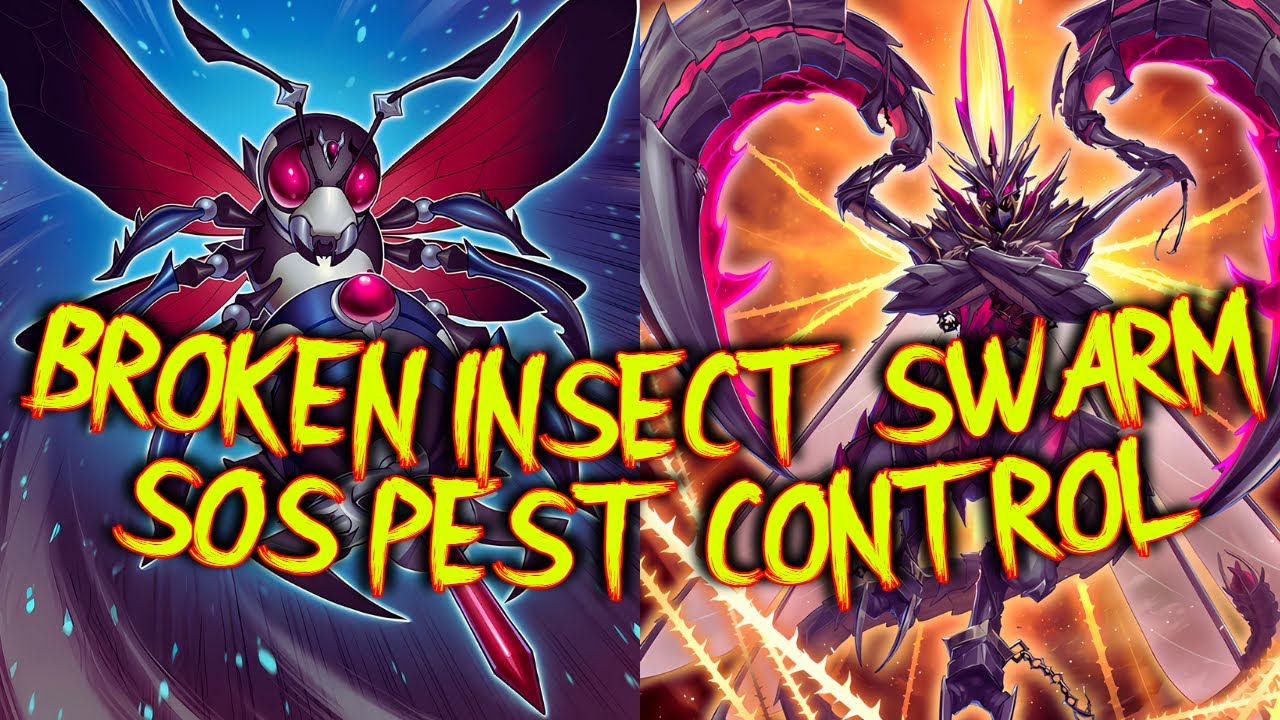 🐝 Battlewasp 🐝🍯 Beetrooper insect 🦗 Swarm combo guide. Join our hive / colony, Yugioh EDOPRO,