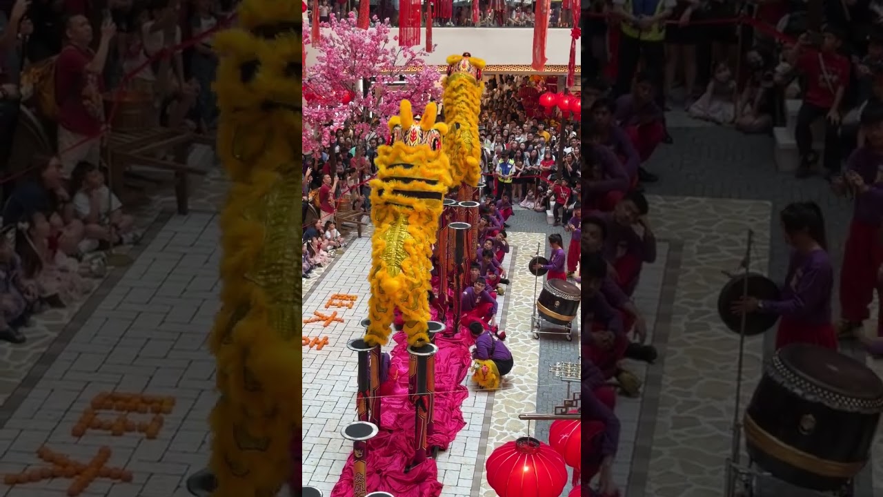 Lion Dance MidValley 2026