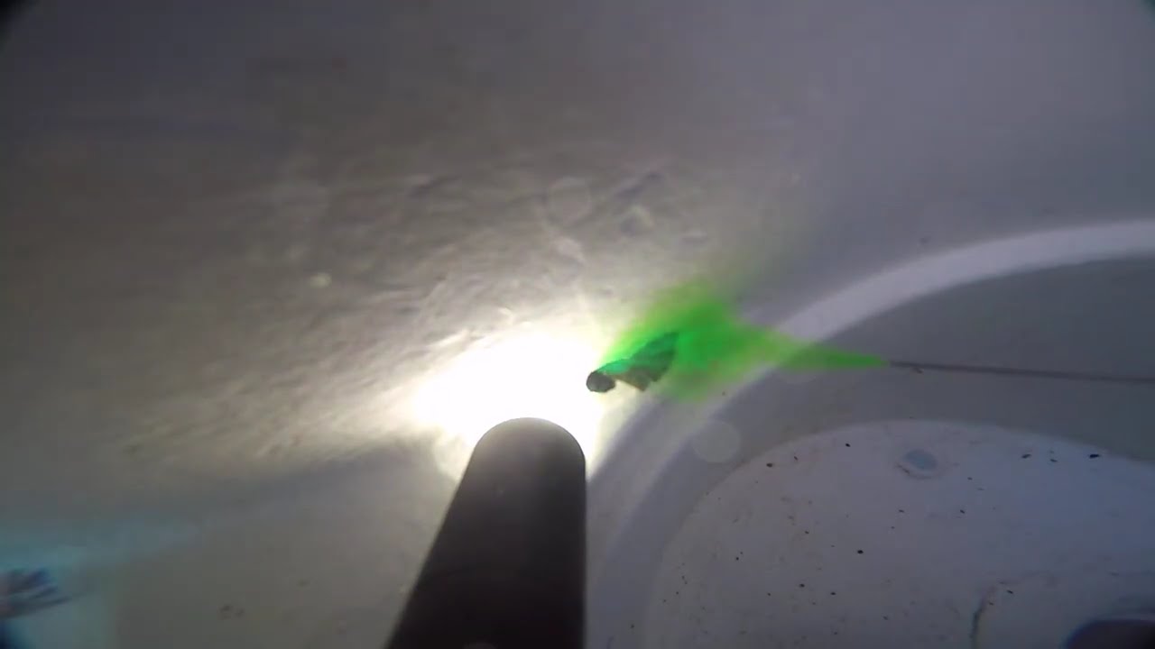 Cracked Pool Skimmer Leak FOUND & FIXED in Miami , Coconut Grove | Carlito’s Way Pool Leak Detection