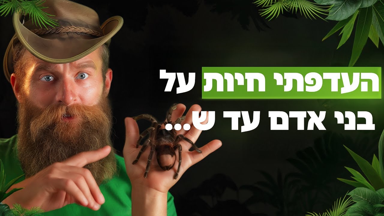 שיחה כנה ואמיתית על סיפור חייו של שלמה מהחיות של שלמה