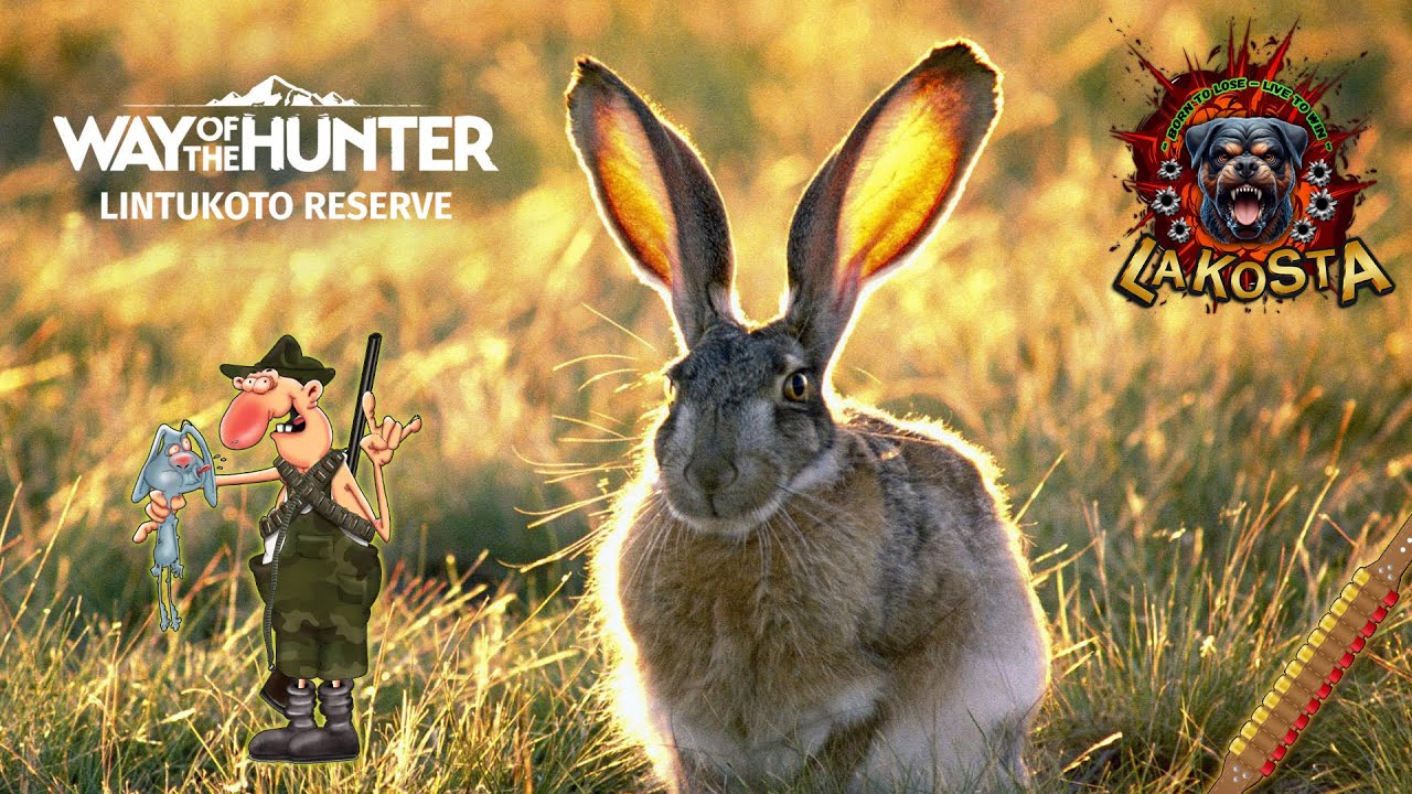 ОХОТА НА ЗАЙЦА ⭐ Lintukoto Reserve ⭐ Way of the Hunter ⭐  ПУТЬ ОХОТНИКА