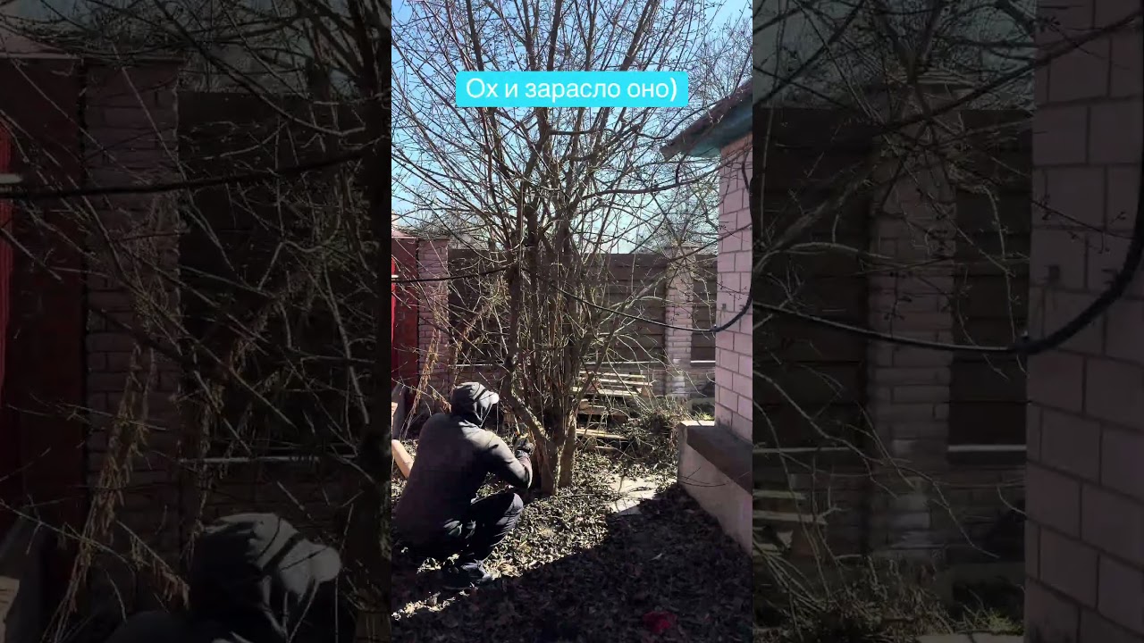 Видать ему удивляли мало времени)) )#GreenDab #газон #озеленение #автополив #полив