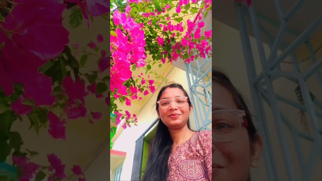 শীতে আমার বাগানে কি কি ফুল ফুটলো?