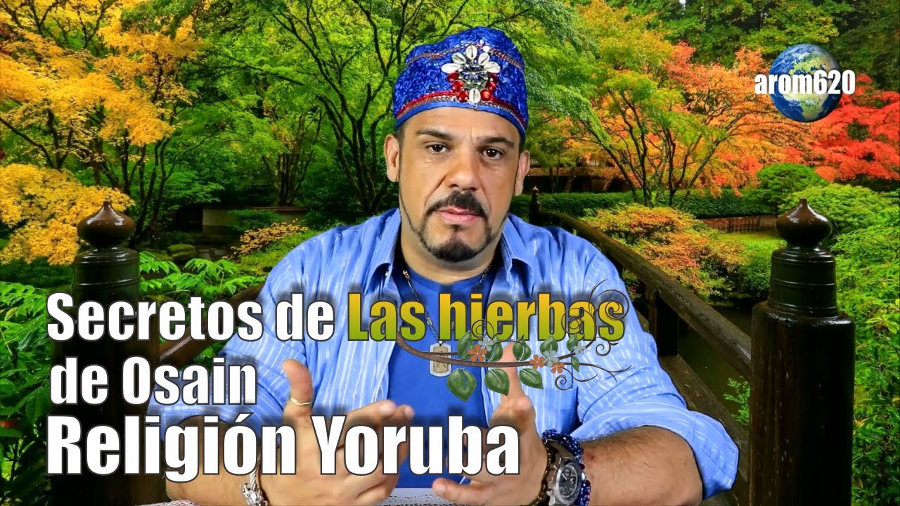 Los secretos de las Hierbas de osain, &iquest;Cuales se utilizan y cuales no?