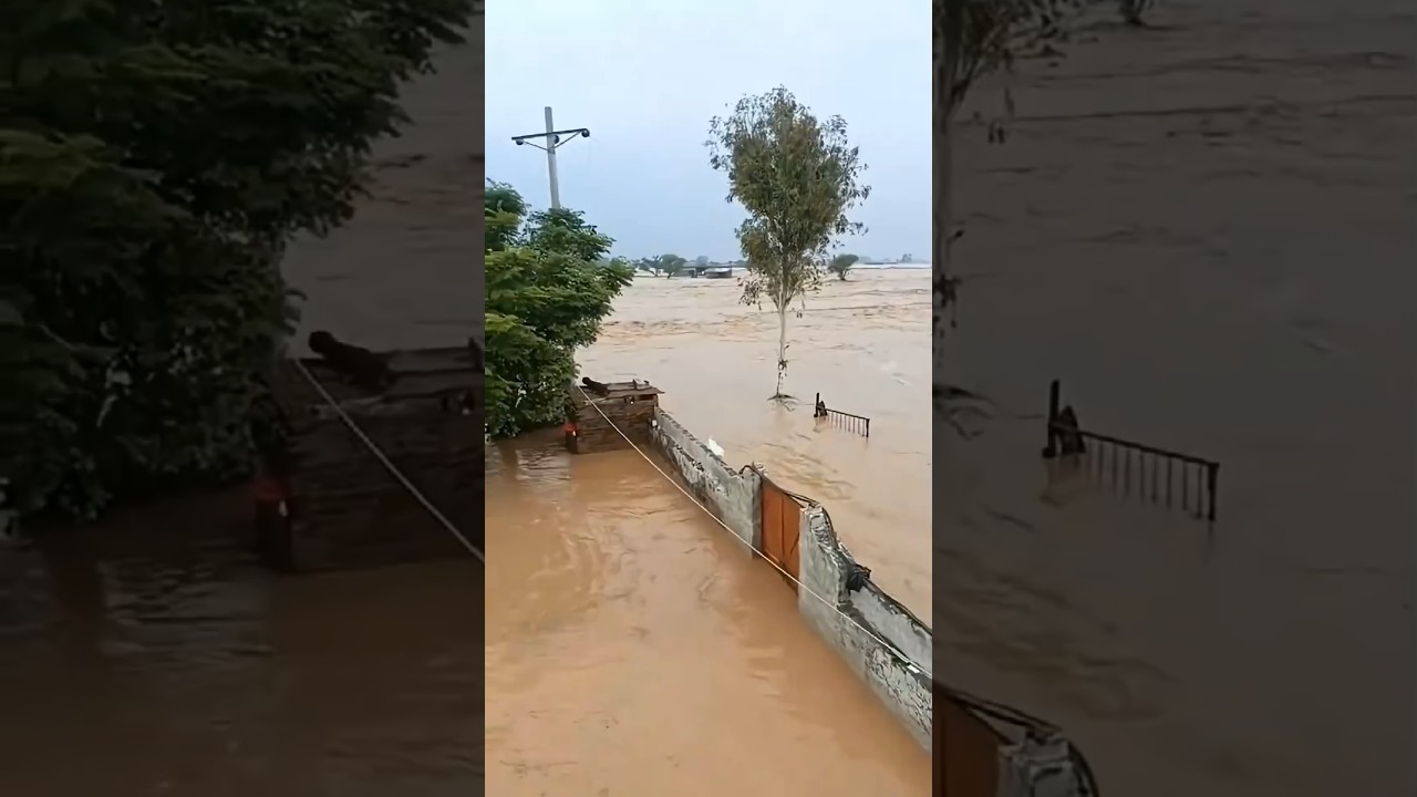 Powerful Floods Destroy Everything #Floods #Flashfloods #Disaster #viral #trending