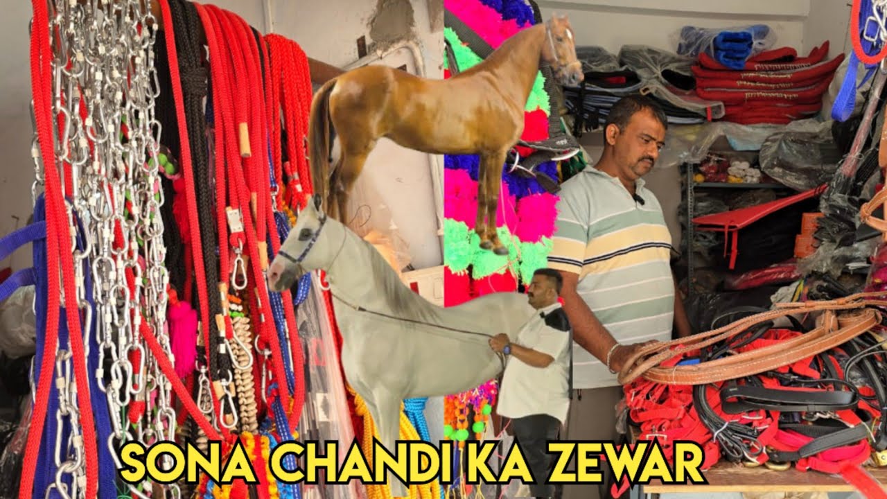 Sona chandi ka zewar ghoda ghodi ke liye | horse accessories shop in Hyderabad | Royal Lagam shop