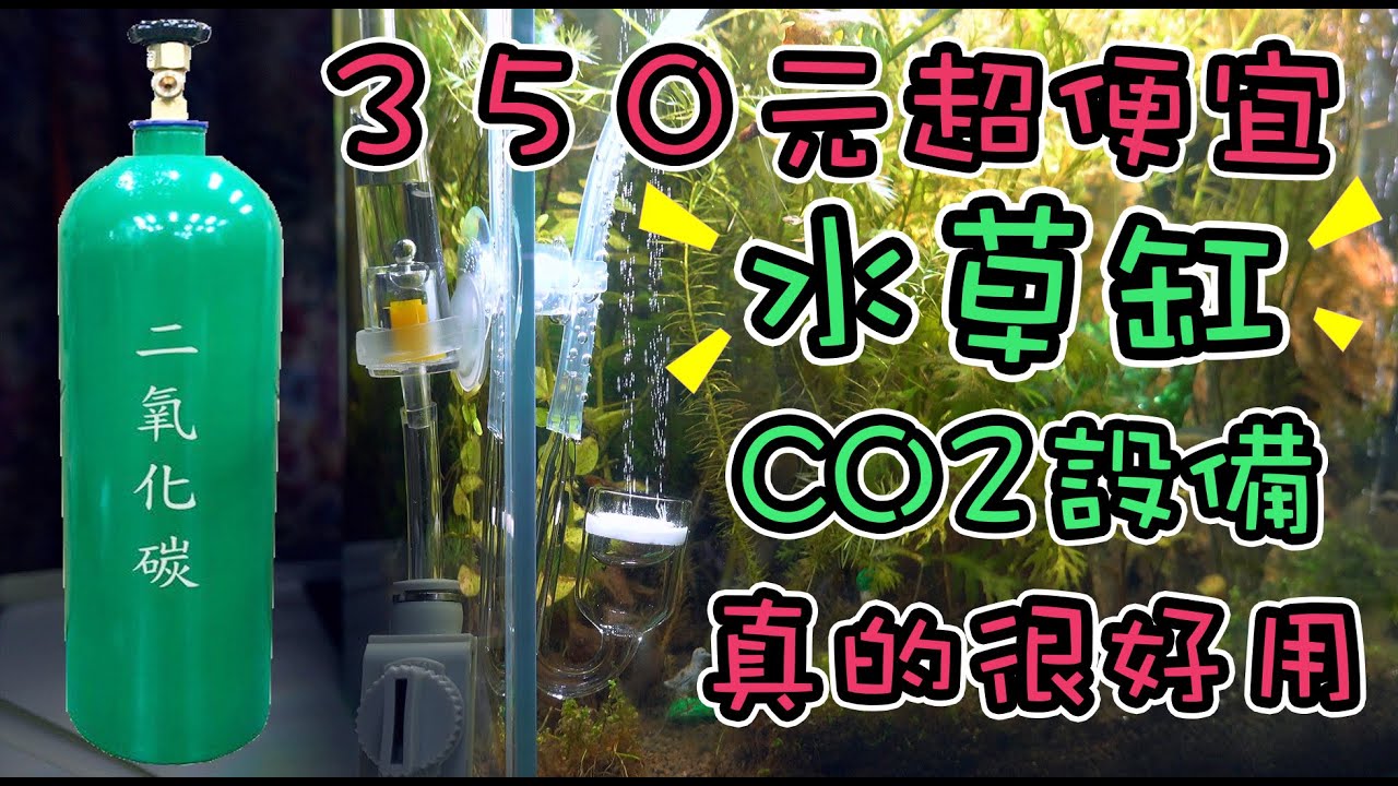 水草缸 便宜的CO2設備只要350元～實測20天並詳細的心得分享｜ CO2 System For Aquarium (HOW TO BUY)ＣＣ字幕