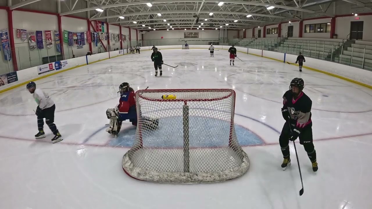 Hockey365.ca - Pickup - 2026-03-13