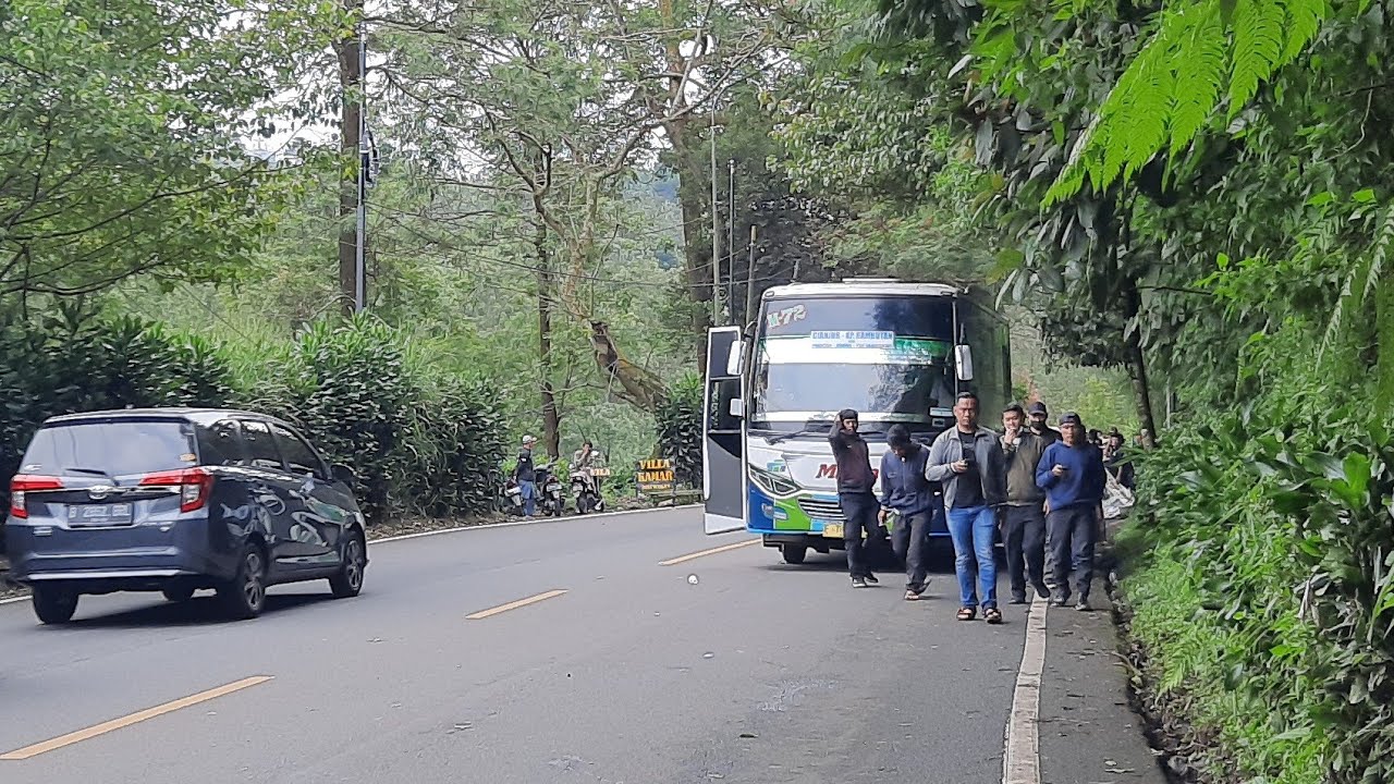 Razia Ganjil Genap ke Puncak Bogor🔴diserbu penumpang naik Bus Marita`
