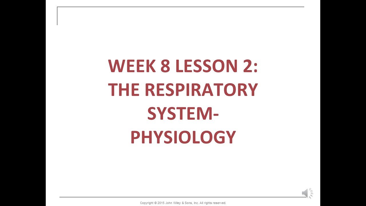 HAP201 8_Respiratory Physiology_ 2_NARRATED