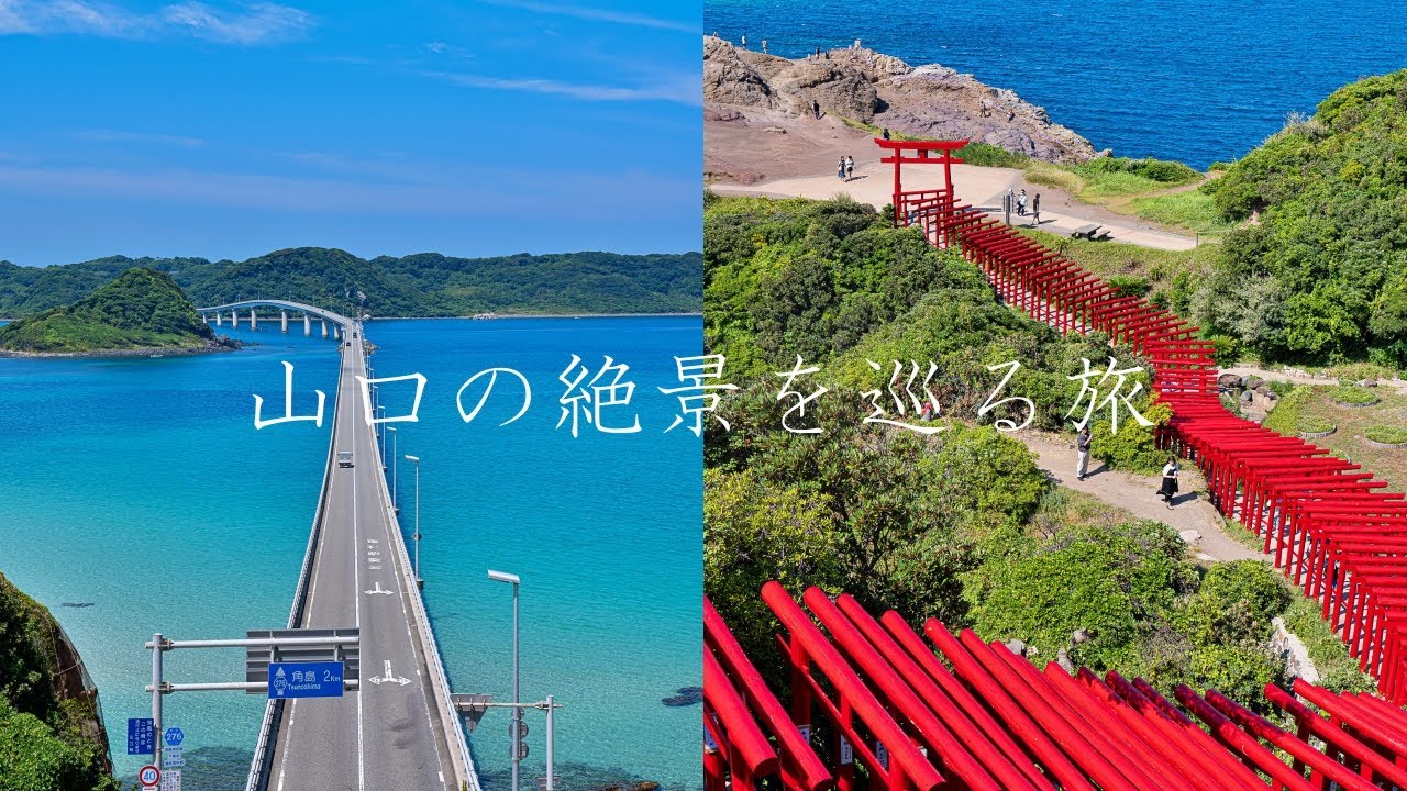 【山口】角島大橋と元乃隅神社…山口県の絶景を巡る旅～WESTERポイント全線フリーきっぷの旅3日目