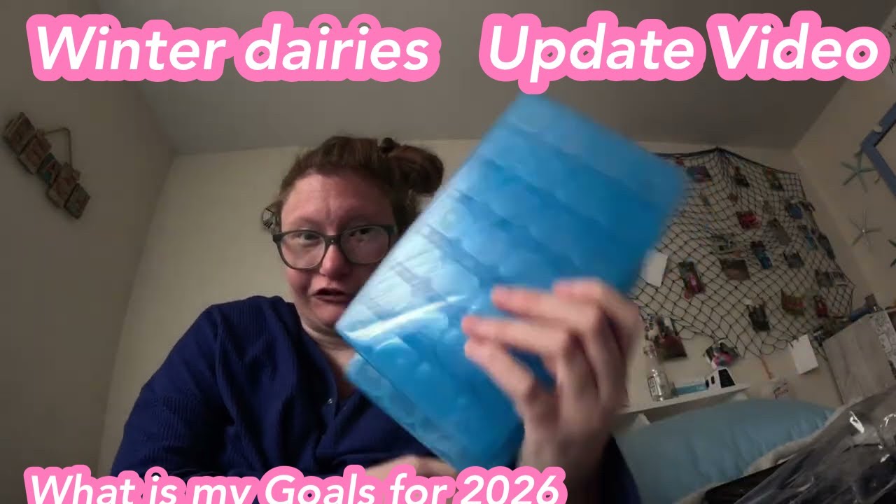 |Update VideoHaul Video 💖What is my goals for 2026🎀Winter Diaries 001|Kayla 