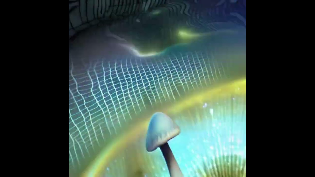 Psychedelic Psychos - Full Size Psychedelic Trip #41 #animated #nft #psychedelic #trippy #nfts