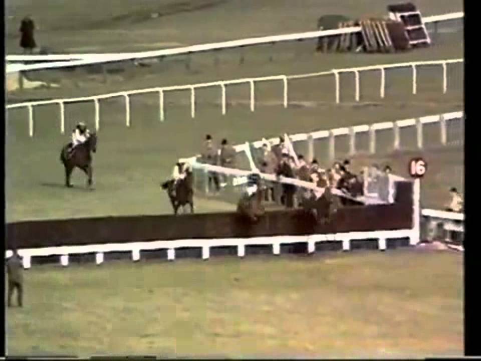L'Escargot- The 1970 Cheltenham Gold Cup