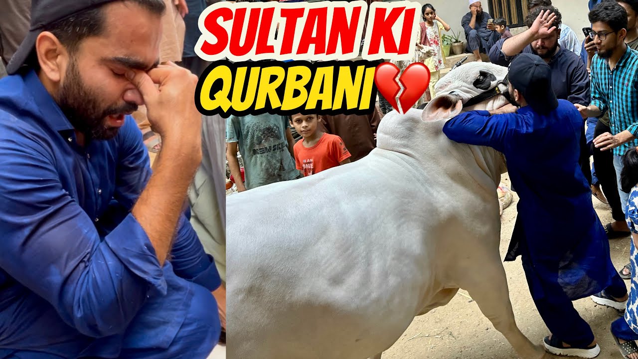 Apne piyare Bachare Sultan ko Alvida Karna Mushkil hogaya💔Part 01
