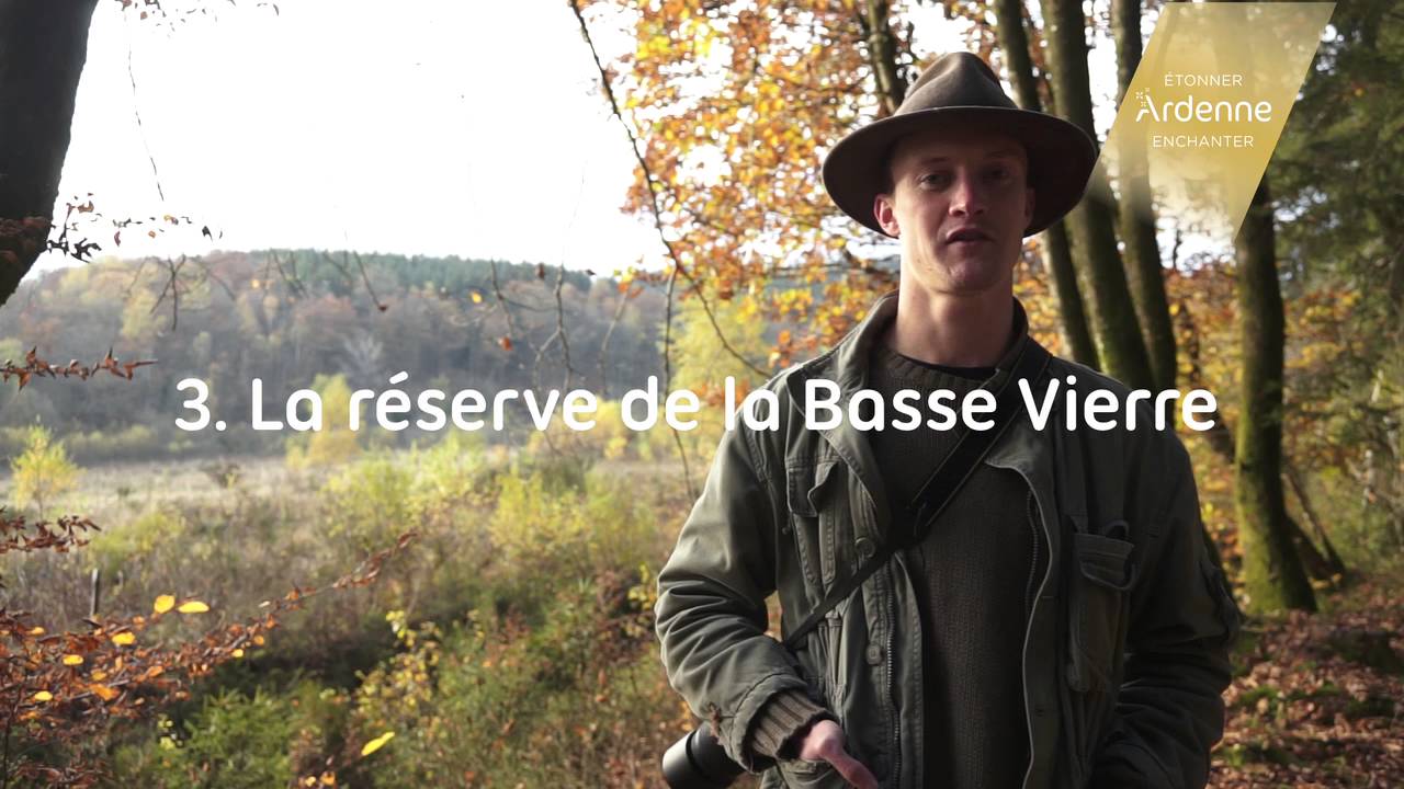 suxy, une clairière dans la forêt de Chiny