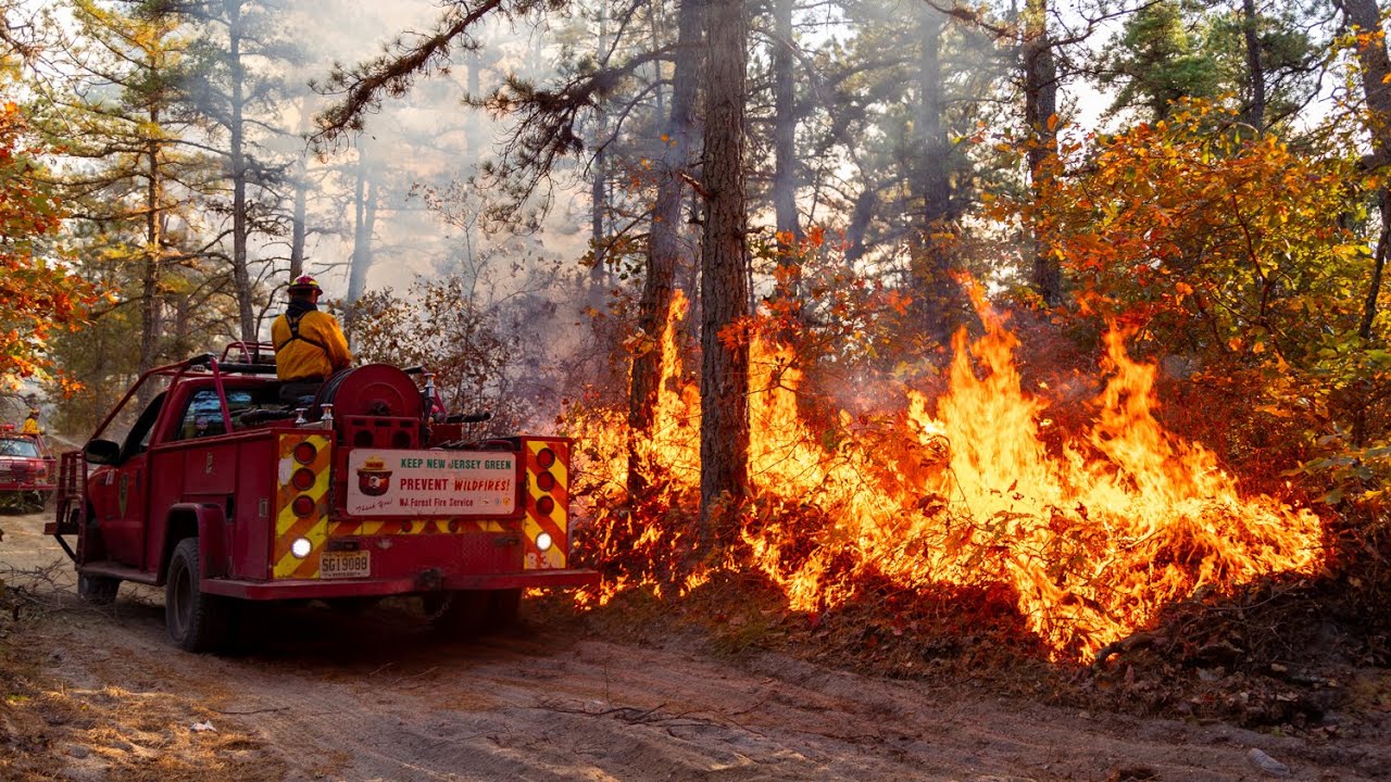 Mary Ann Forge Forest Fire Brendan T. Byrne State Forest 10/16/24
