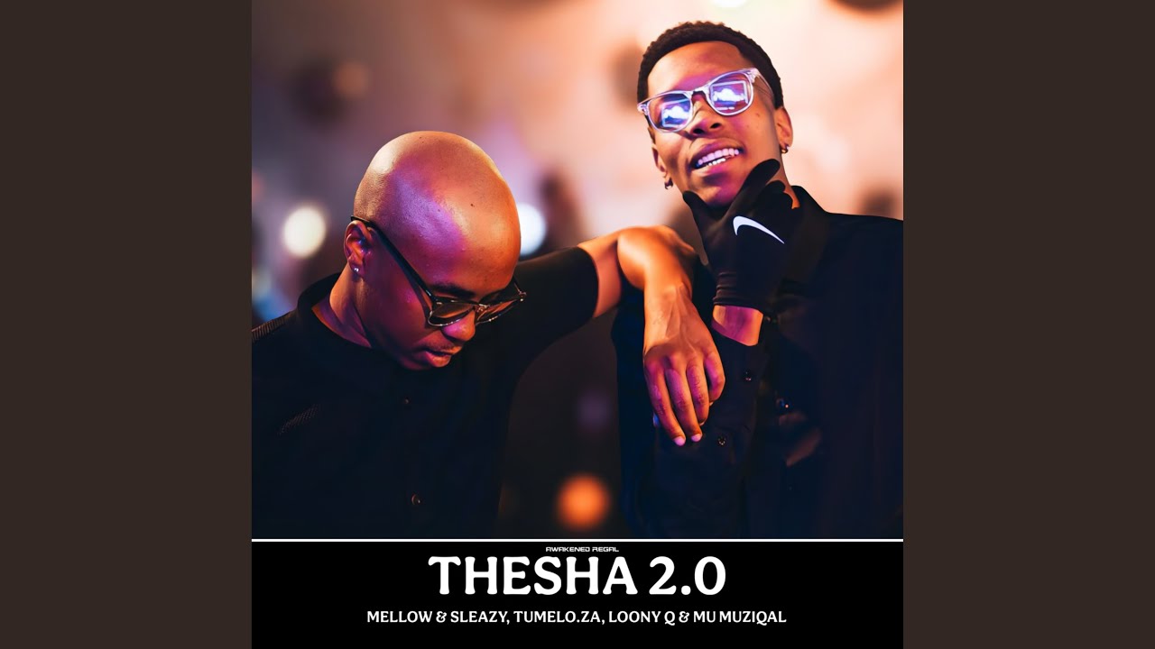 Mellow & Sleazy, Tumelo.za, Loony Q & Mu Muziqal - Thesha 2.0 (Official Audio)