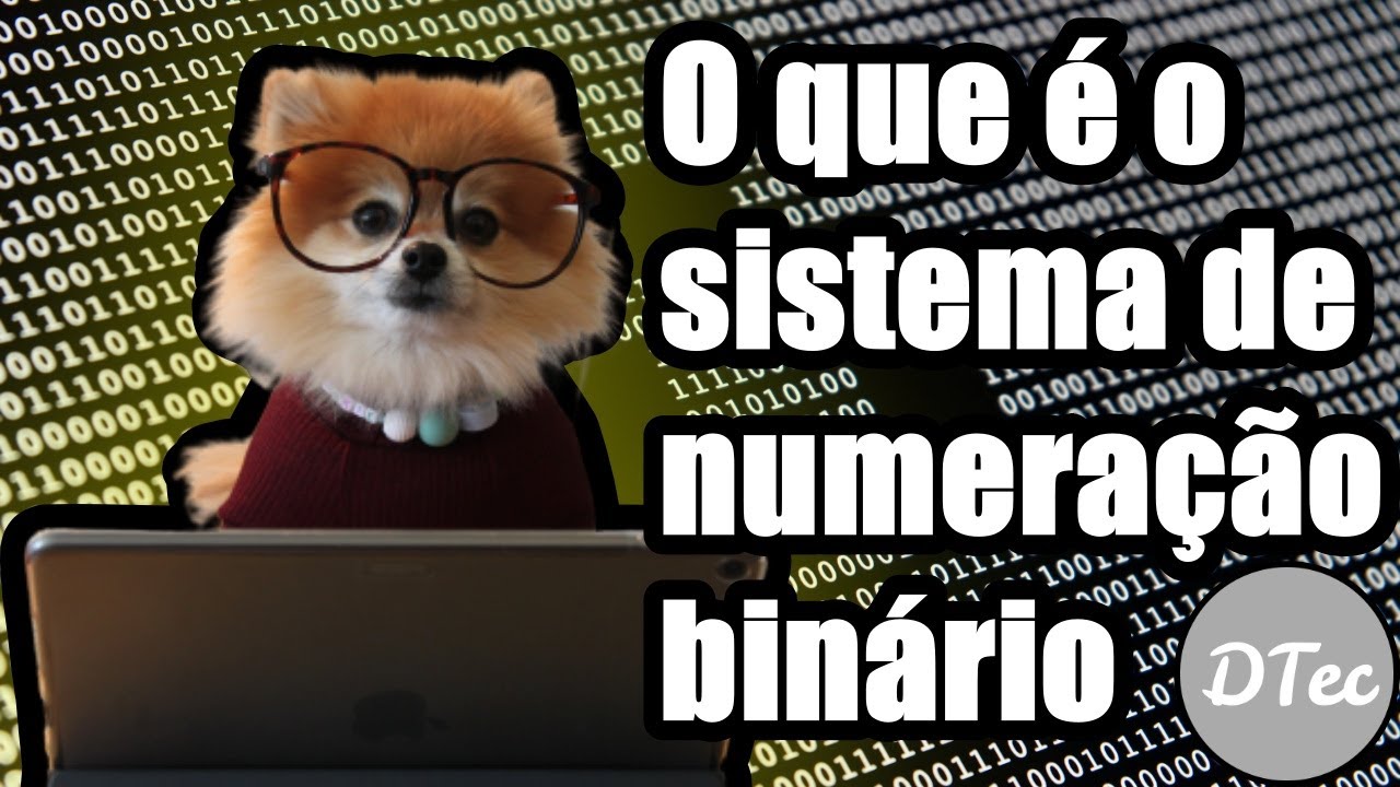 O que é o sistema de numeração binário usado nos computadores