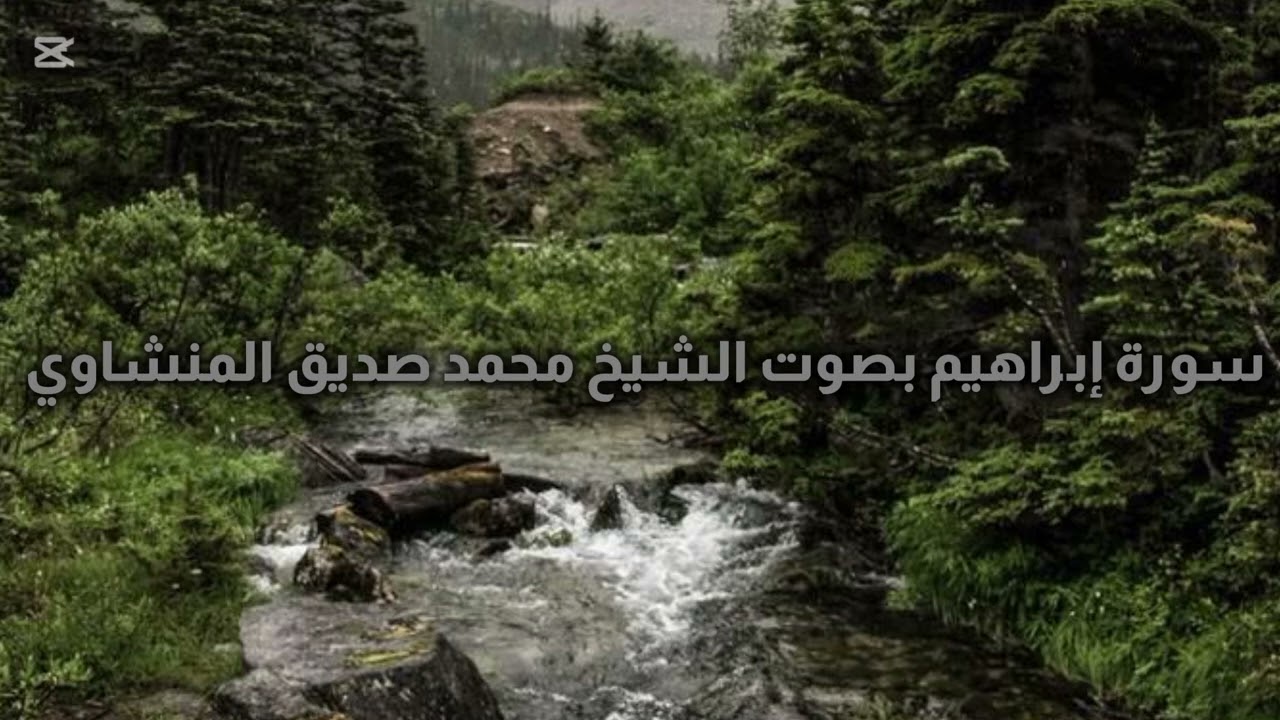 سورة إبراهيم بصوت القارئ  الشيخ محمد صديق المنشاوي رحمه الله تعالى 