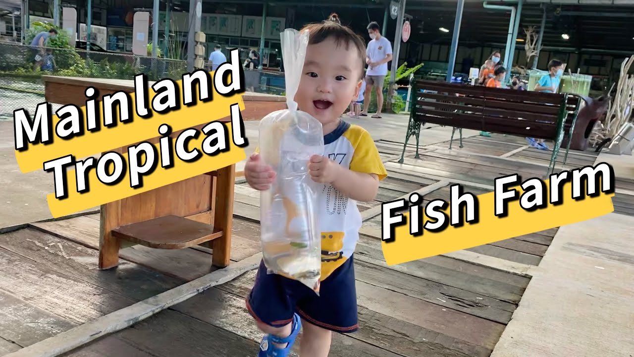 Mainland Tropical Fish Farm @ Pasir Ris with our 21 months old #longkangfishing #fishing #pasirris